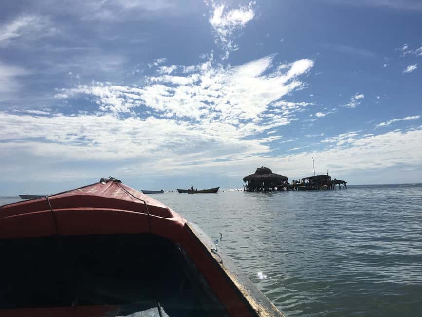 Floyd’s Pelican Bar, Ys Falls and Black River Safari Tour - Three Nature Icons, One Tight 6-Hour Plan