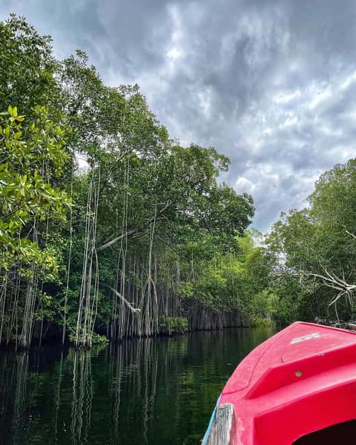 Floyd’s Pelican Bar, Ys Falls and Black River Safari Tour - Who This Tour Fits Best (And Who Should Think Twice)
