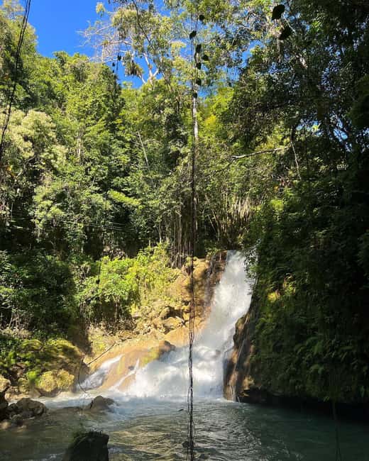 Floyd’s Pelican Bar, Ys Falls and Black River Safari Tour - FAQ
