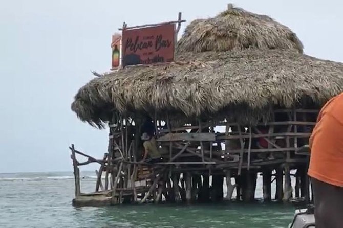 Floyd's Pelican Ocean Bar Private Tour with Transportation - Why Floyds Pelican Bar feels worth the South Coast drive