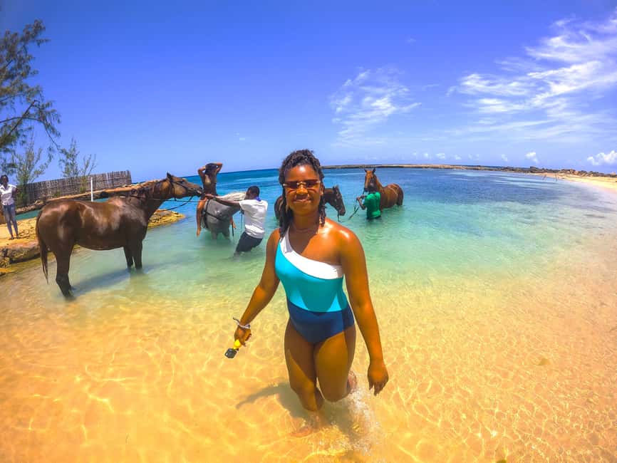 From Falmouth: Horseback Ride and Swim Beach Trip - From Falmouth Pickup To Sand N Saddle Beach: What Starts First