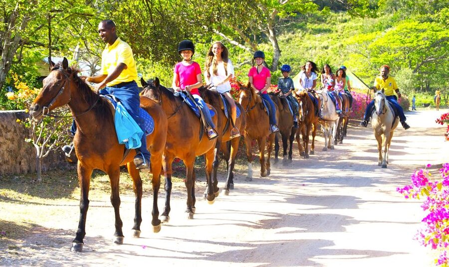From Falmouth: Horseback Ride and Swim Beach Trip - Who This Suits Best, and Who Should Skip It