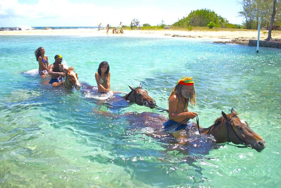 From Falmouth: Horseback Ride and Swim Beach Trip - Safety Intro, Humorous Storytelling, Then Straight Onto the Trail