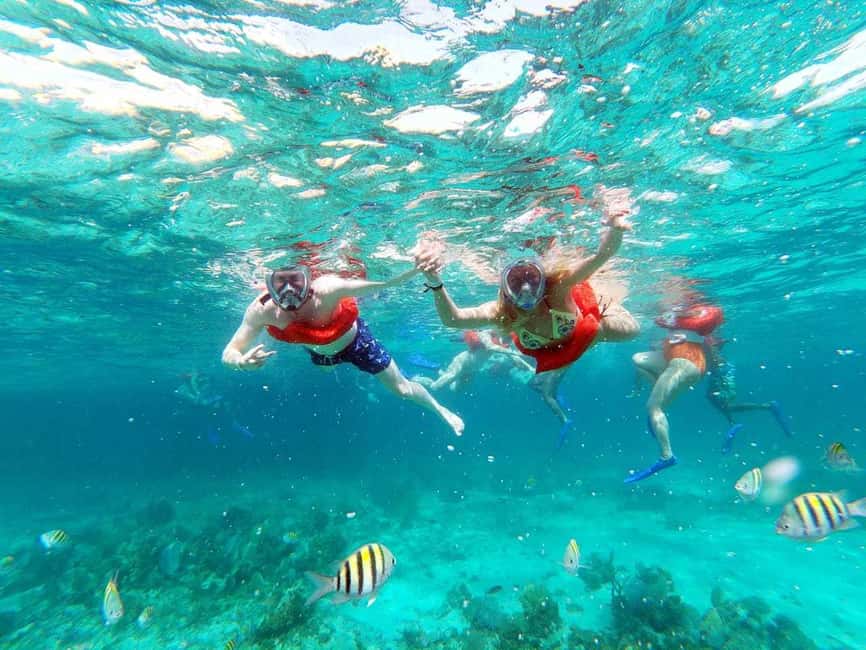 From Falmouth/Ocho Rios: Negril Beach and Catamaran Cruise - Snorkeling: gear is included, but sightings depend on conditions