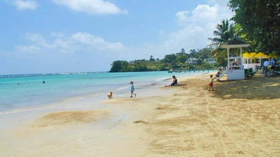 From Montego Bay: Dunn’s River Falls Experience - Key points before you go