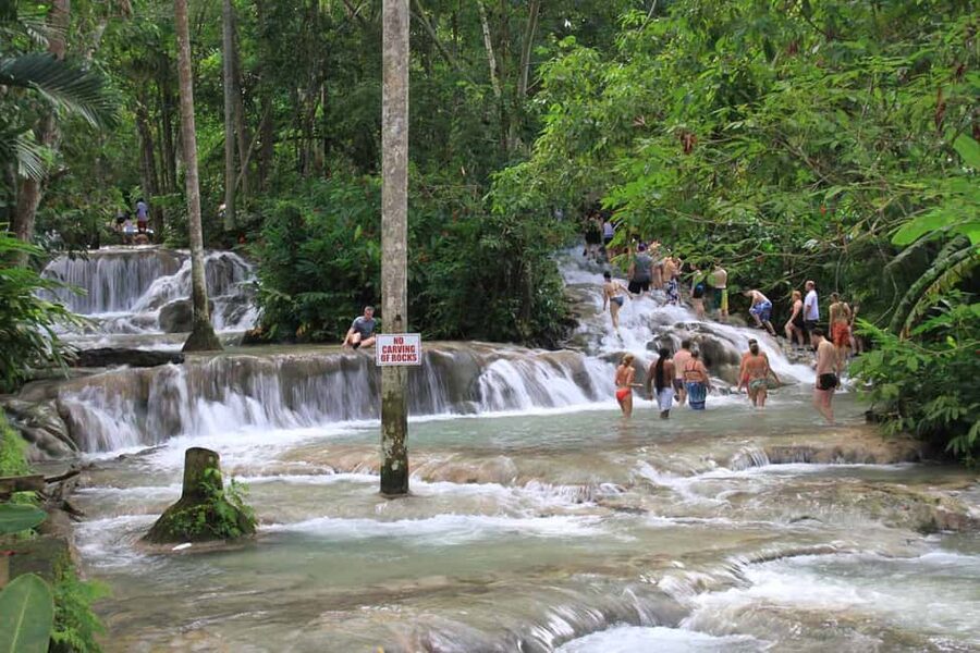 From Montego Bay: Dunn’s River Falls Experience - Water massage in the natural pools, then beach time