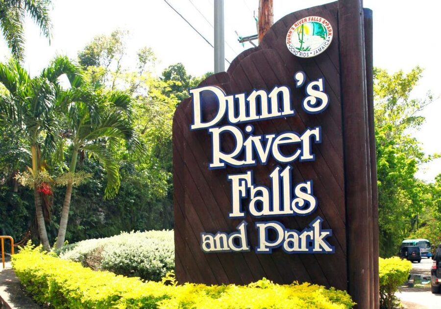 From Montego Bay: Dunn’s River Falls Experience - Gardens, craft shopping, and the small moments people remember
