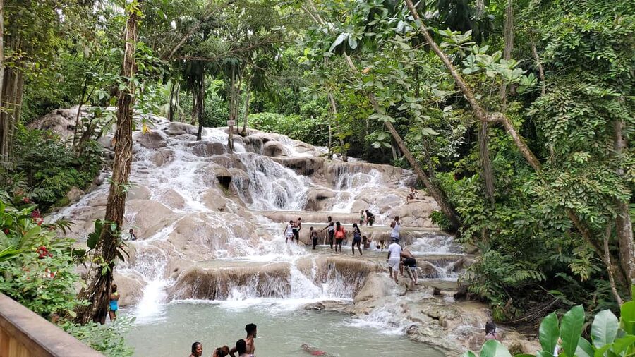 From Montego Bay: Dunn’s River Falls Experience - Price and value: what $135 gets you in real terms