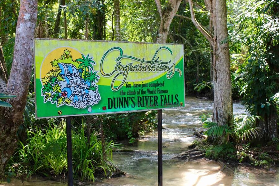 From Montego Bay: Dunn’s River Falls Experience - Who this tour suits best (and who should choose something else)