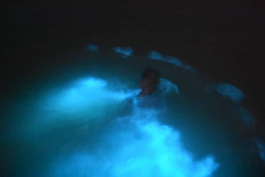 From Montego Bay: Luminous Lagoon Night Tour - Key highlights at a glance