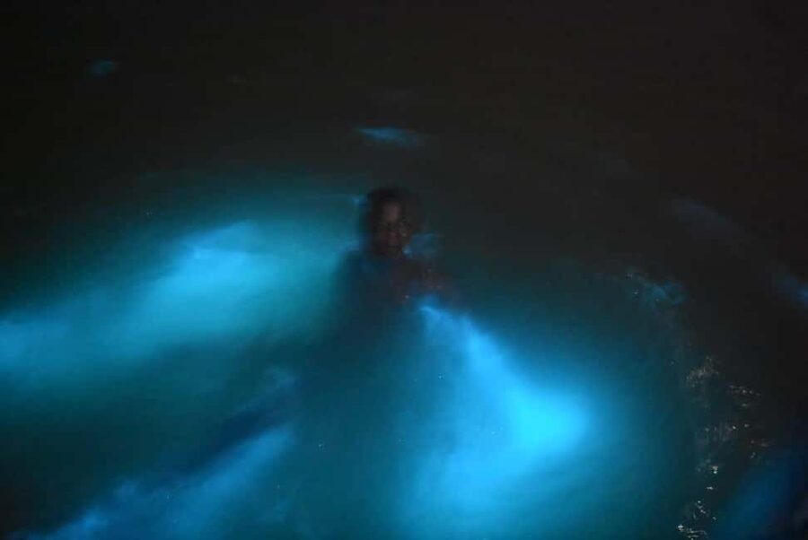From Montego Bay: Luminous Lagoon Night Tour - Entering the luminous lagoon boat tour in Falmouth