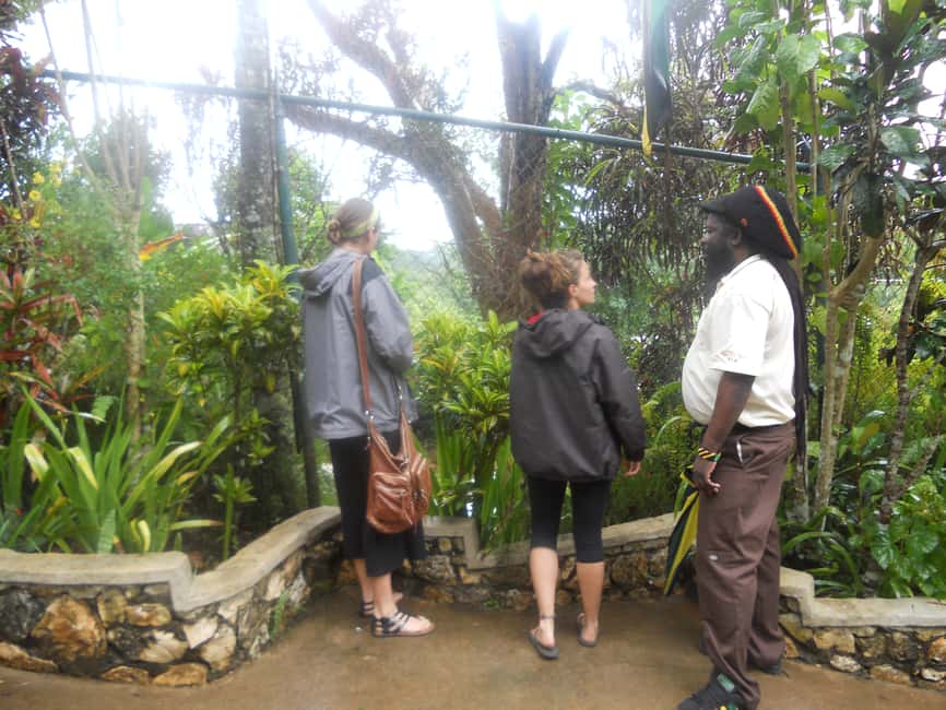 From Ocho Rios: Bob Marley & Dunn’s River Falls 6/7Hour Tour - Crowds, timing, and how your guide may adjust the day