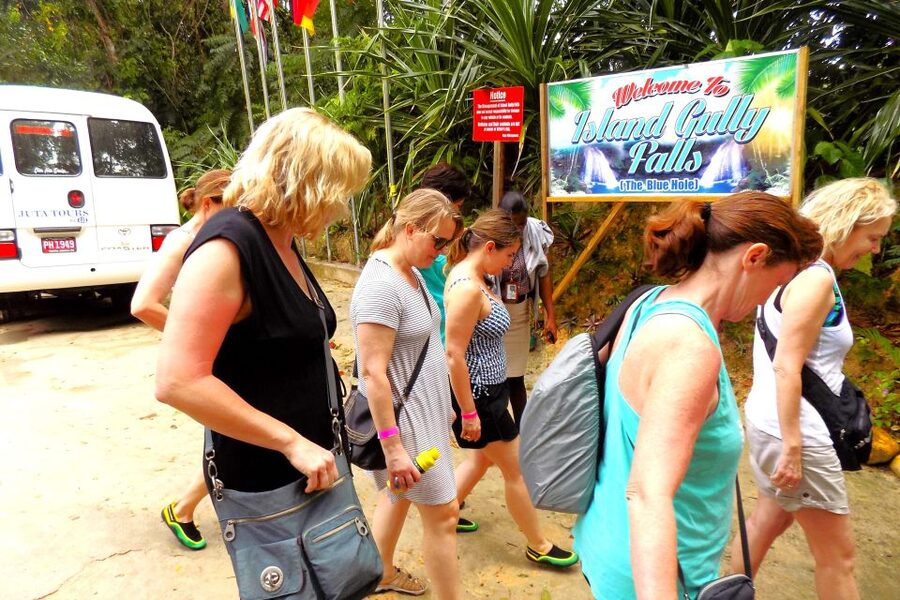 From Runaway Bay: Island Gully Falls and Blue Hole Tour - Price and value: is $180 per person fair for what you get?