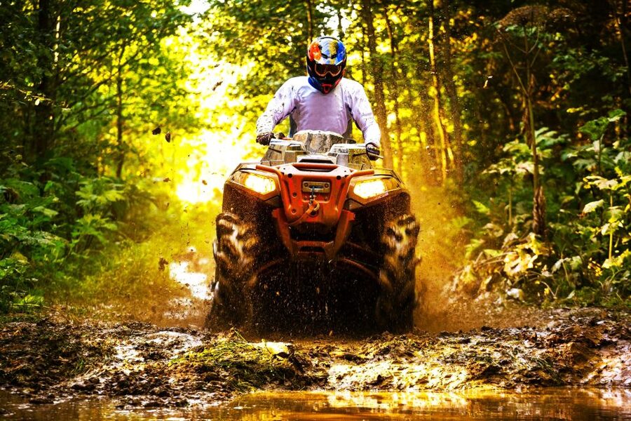 From Runaway Bay: Off Road Vehicle Adventure Tour - The open-air carriage ride and the 1,000-acre garden stop