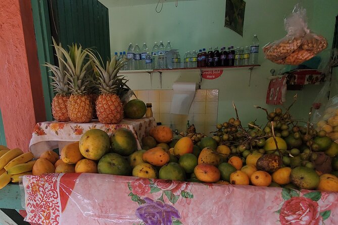 Full-Day Guided Tour to Dunns River Falls & shopping with lunch - The water fun beyond the climb, especially for kids
