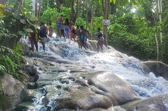 Full-Day Guided Tour to Dunns River Falls & shopping with lunch - Price and value: is $130 fair for what you get?