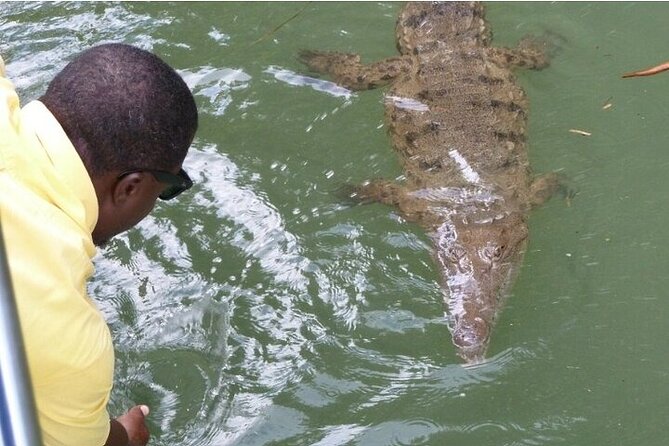 Full-Day South Coast - YS Falls, Pelican Bar & Black River Safari - From Negril to YS Falls, the start that sets the tone