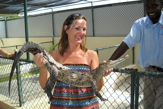 Full-Day South Coast - YS Falls, Pelican Bar & Black River Safari - Black River Safari cruise: mangroves, birds, and alligators