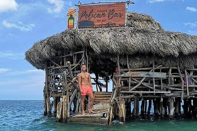 Full-Day South Coast - YS Falls, Pelican Bar & Black River Safari - How the day stays smooth: timing, guides, and pacing