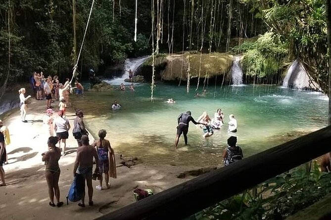 Full-Day South Coast - YS Falls, Pelican Bar & Black River Safari - Price and value: is $250.99 per person a fair deal?