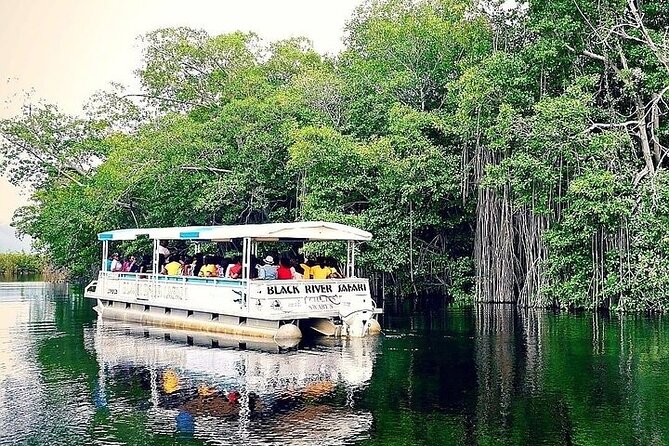 Full-Day South Coast - YS Falls, Pelican Bar & Black River Safari - YS Falls: 7 tiers, spring-fed wading pools, and real swim time
