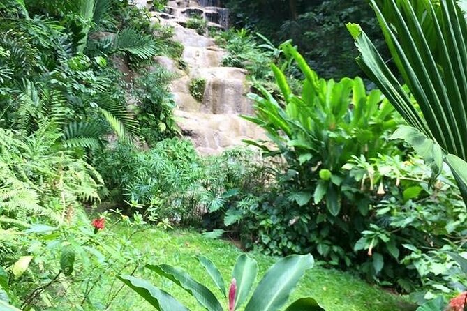 Fun tour for kids with River tubing and Konoko Falls - Why this 3-hour Konoko Falls and Tubing plan works for families
