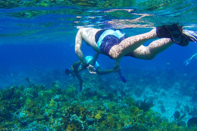 Glass Bottom Boat Ride/Snorkeling/Booby Cay Island from Negril - Key things I’d circle before you go