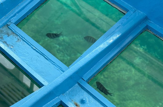 Glass bottom Boat Tour and Snorkeling Experience in Montego Bay - How private tour means a better experience for your group