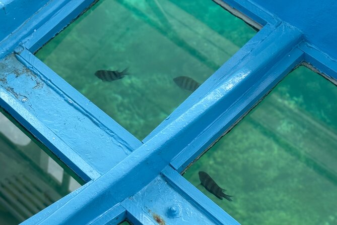 Glass bottom Boat Tour and Snorkeling Experience in Montego Bay - Practical tips so your reef time feels smooth