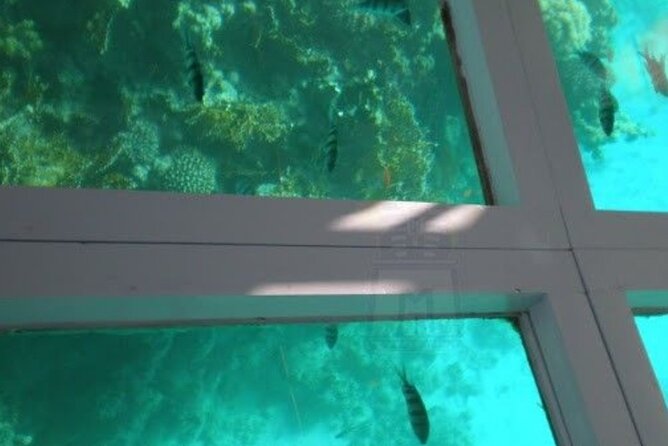Glass Bottom Boat Water Activity in Montego Bay Jamaica - Glass-Bottom Boat Basics in Montego Bay