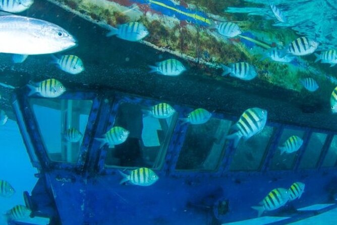Glass Bottom Boat Water Activity in Montego Bay Jamaica - Capt Dan and Trey’s Briefing, and Why It Matters