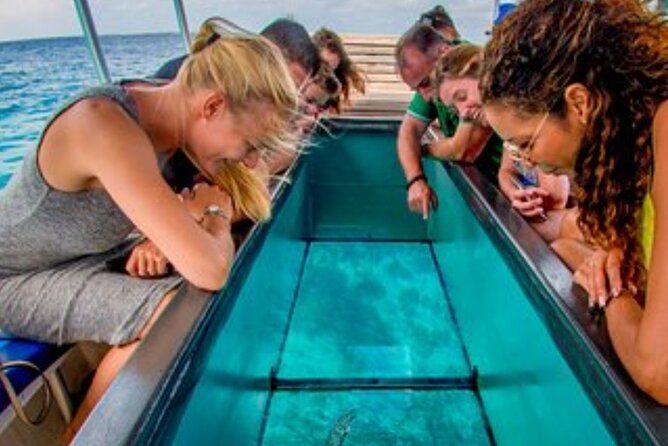 Glass Bottom Boat Water Activity in Montego Bay Jamaica - Price and Value: Is $90 Worth It?