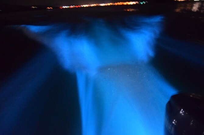 Glow with the Flow: A Romantic Night at the Luminous Lagoon”) - Entering the Luminous Lagoon Experience: Tickets, Drink, and Crew Guidance