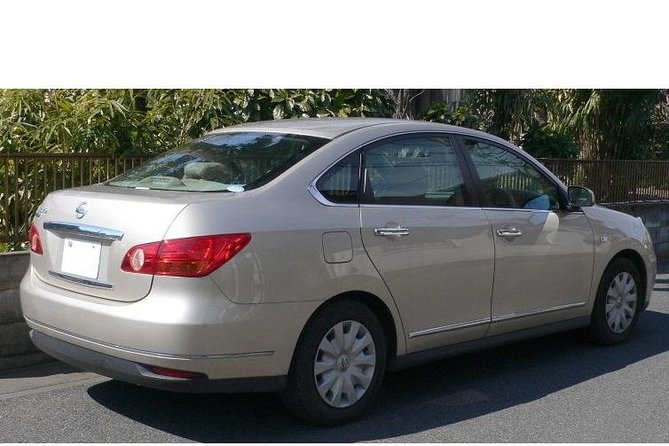 Grand Palladium Lady Hamilton Transfers from Montego Bay Airport - Price and Value: Is $50 Per Person Fair for a Private 50-Minute Ride?