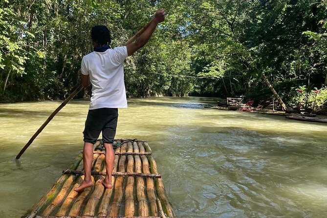 Great River Bamboo Rafting and Bird Sanctuary Combine Tour From Montego Bay - Rocklands Bird Sanctuary at Lethe, spotting Jamaica’s long tailed hummingbird