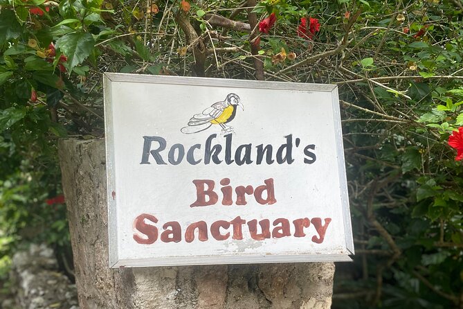 Great River Bamboo Rafting and Bird Sanctuary Combine Tour From Montego Bay - Value check for $120 per person, what you get and what you skip