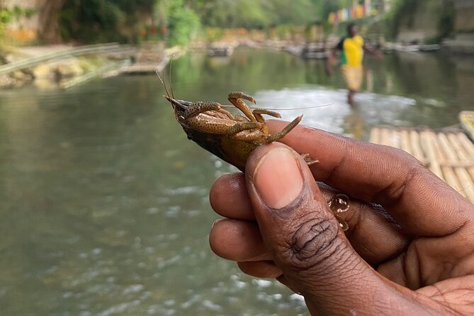 Great River Rafting - Limestone Foot Massage and ATV Rides From Montego Bay - Guide Service That Shows Up in the Small Stuff