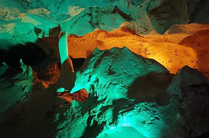 Green Grotto Caves Excursion from Ocho Rios - Wildlife in Its Natural Environment: How to Set Expectations