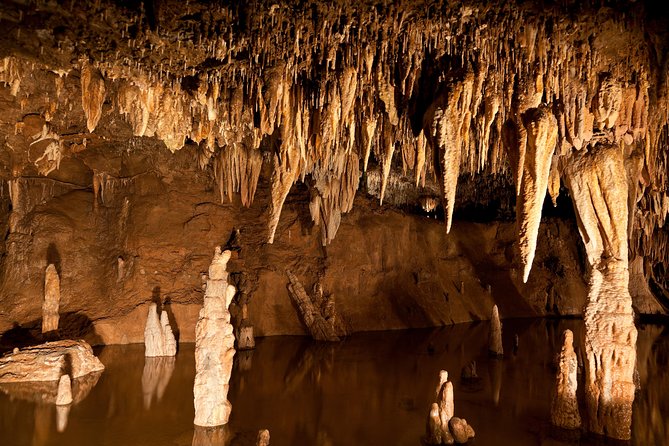 Green Grotto Caves Excursion from Ocho Rios - Getting From Ocho Rios: Pickup, Timing, and the Real Meaning of 4 Hours
