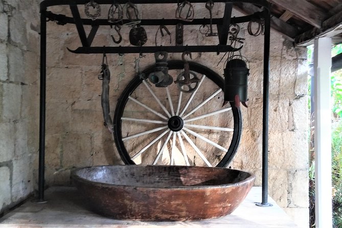Greenwood Great House Tour from Montego Bay and Grand Palladium - A 4-hour heritage outing with real context