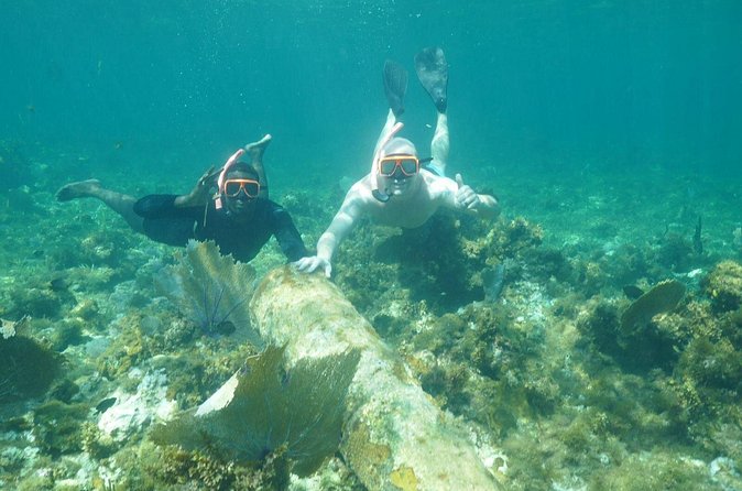 Guided Snorkeling at the Anchor and Cannon Reef in Negril - What Your Guide Actually Helps You Notice