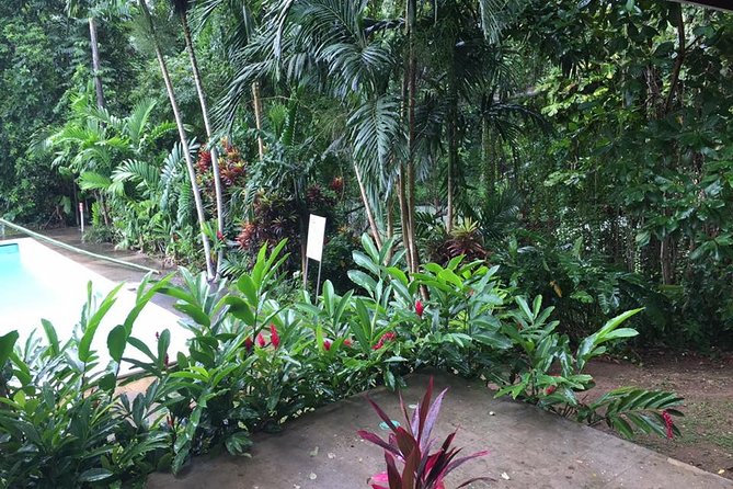 Half-Day Private Martha Brae Rafting Tour from Montego Bay - Who This Half-Day Tour Fits Best
