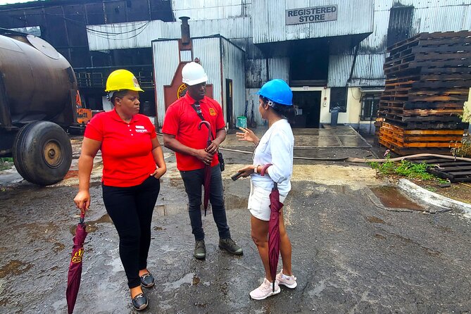 Hampden Estate Rum Tour and Lunch from Montego Bay - Distillery and Ageing House Visits: When You See Time as an Ingredient
