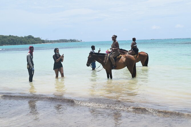 Horse Back Riding and Blue Hole From Montego Bay - Montego Bay to Ocho Rios: A more human kind of day trip