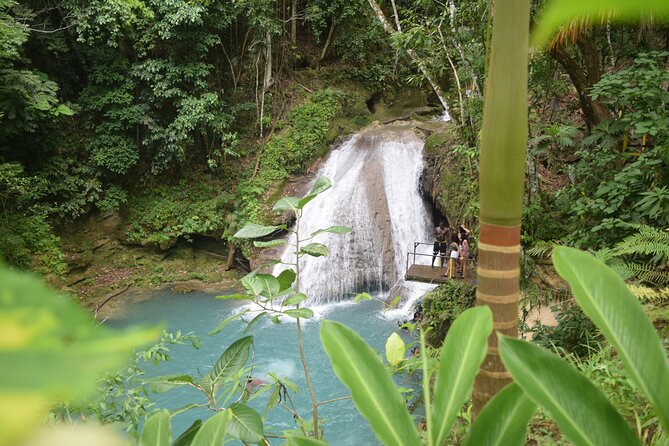Horse Back Riding and Blue Hole From Montego Bay - Booking smart: confirmations, weather, and small-group expectations