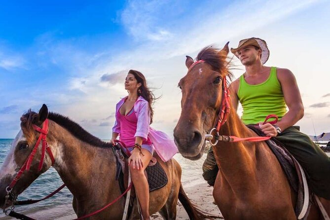 Horse Back riding Excursion - Rainforest trail to ocean: how the 2.5 hours usually plays out