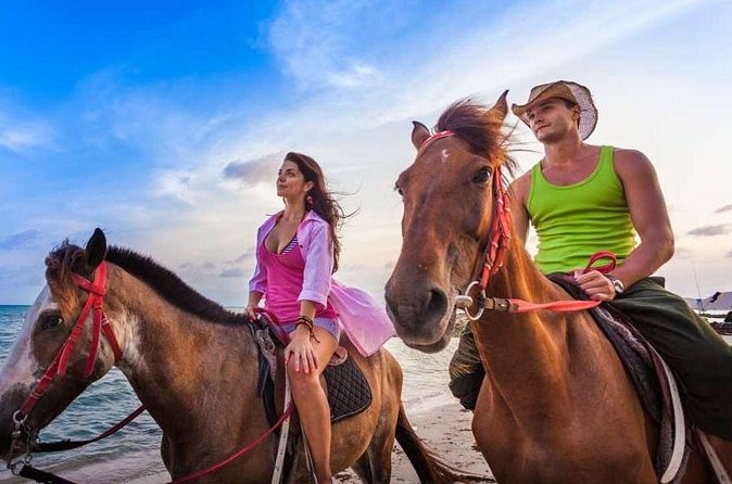 Horse Back riding Excursion - Value for $95: is it worth it?