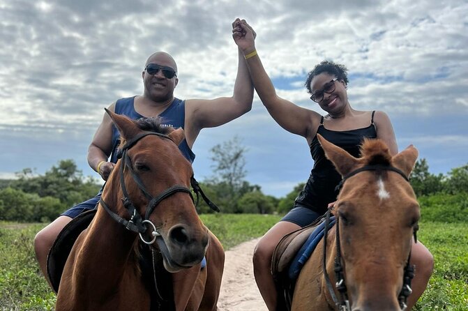 Horseback Ride and Swim Experience Montego with Transportation - Transportation Comfort: Air-Conditioned Van and Round-Trip Convenience
