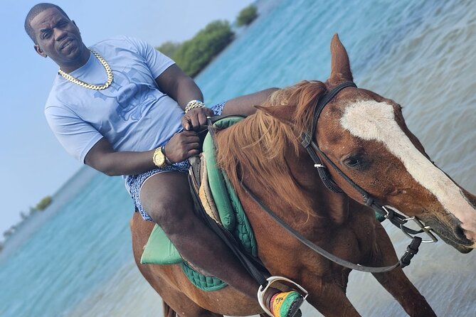 Horseback Ride and Swim Experience Montego with Transportation - Who This Tour Fits Best (And When You Might Want a Plan B)