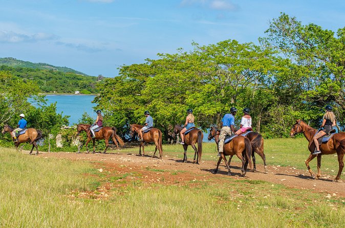 Horseback Ride and Swim from Ocho Rios - Price and Value: Is $129 a Good Deal?